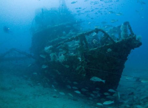 Kirra Dive “On The Tweed” - Australia Accommodation 4
