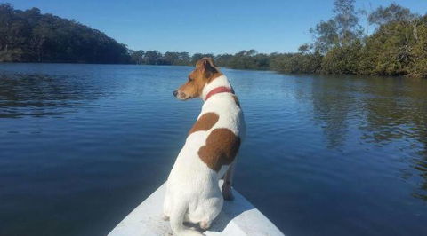 Australis Canoes & Kayaks - Australia Accommodation 0
