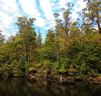 A R Reflections River Cruises - Australia Accommodation