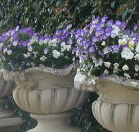 Gardenalia Open Garden and Rare Plant Nursery - Australia Accommodation
