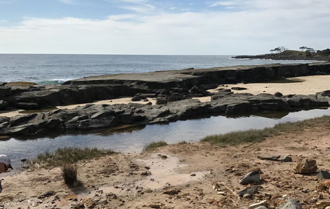 Yamba Tours And Charters - Australia Accommodation 0