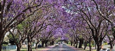 Yamba Tours And Charters - Australia Accommodation 6