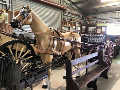 Yamba Tours And Charters - Australia Accommodation 9
