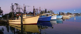 Yamba Tours And Charters - Australia Accommodation 14