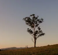 Faulls Ridge Winery - Australia Accommodation