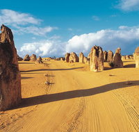 Pinnacles Desert Koalas and Sandboarding 4WD Day Tour from Perth - Australia Accommodation