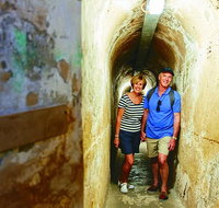 Rottnest Island Full-Day Trip With Guided Island Tour From Perth - Australia Accommodation