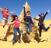 Pinnacles and Swan Valley Day Trip from Perth Including Caversham Wildlife Park Vineyard Lunch Pinnacles and Sandboarding - Australia Accommodation