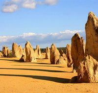Pinnacles and Yanchep National Park Day Trip from Perth Including Lobster Shack Lunch and Sandboarding - Australia Accommodation