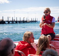 Rottnest Island Tour from Perth or Fremantle including Adventure Speed Boat Ride - Australia Accommodation