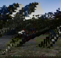 Stargazing Busselton with Mobile Observatory - Australia Accommodation