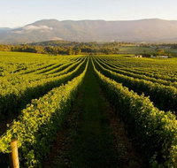 Half-Day Swan Valley Walk  Fruit Orchard - Australia Accommodation