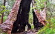 Margaret River Wineries, Caves, Ocean And Karri - Air & Ground Tour - thumb 0