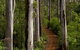 Margaret River Wineries, Caves, Ocean And Karri - Air & Ground Tour - thumb 3