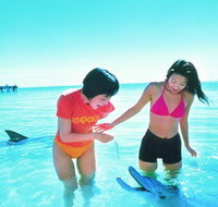 Monkey Mia Dolphins  Shark Bay Air Tour From Perth - Australia Accommodation