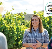 Swan Valley Wine Adventure - Half Day Premium Boutique Winery Tour - Australia Accommodation