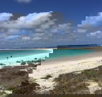 Abrolhos Island Half Day Fly and Flipper - Australia Accommodation