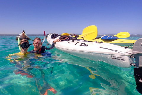Lagoon Explorer - Ningaloo Reef Full-Day Kayaking And Snorkeling Adventure - Australia Accommodation 4