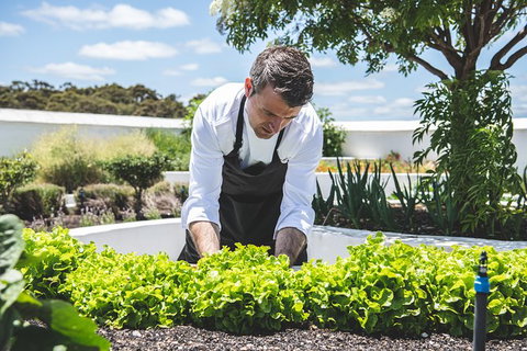 Voyager Estate: Private Winery Tasting Tour In Margaret River With Lunch - Australia Accommodation 8