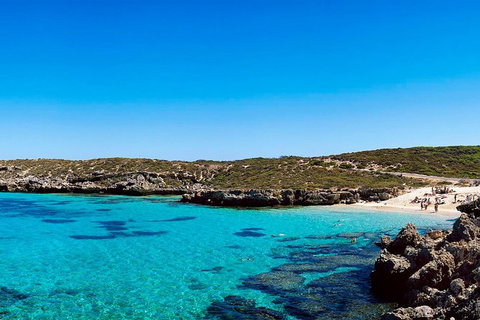 Rottnest Island Roundtrip Fast Ferry From Hillarys Boat Harbour - Australia Accommodation 0