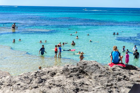 Rottnest Island Roundtrip Fast Ferry From Hillarys Boat Harbour - Australia Accommodation 4
