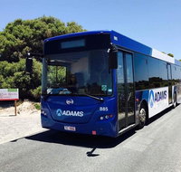 Rottnest Bayseeker Bus Tour from Hillarys Boat Harbour - Australia Accommodation