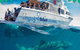 Swim With Whale Sharks- The Largest Fish In The World! - thumb 1