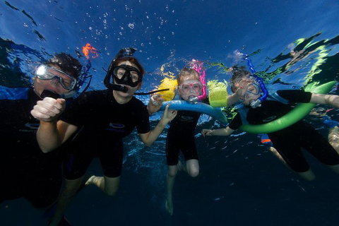 Swim With Whale Sharks- The Largest Fish In The World! - Australia Accommodation 9