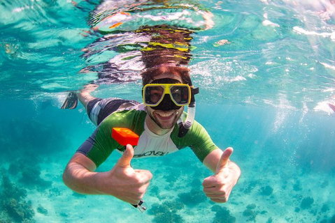 Swim With Whale Sharks- The Largest Fish In The World! - Australia Accommodation 23