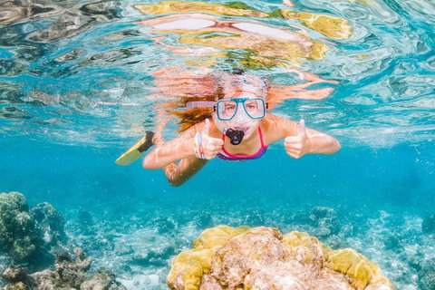 Swim With Whale Sharks- The Largest Fish In The World! - Australia Accommodation 38