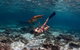 Swim With Whale Sharks- The Largest Fish In The World! - thumb 11