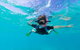 Swim With Whale Sharks- The Largest Fish In The World! - thumb 19