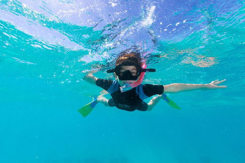 Swim With Whale Sharks- The Largest Fish In The World! - Australia Accommodation 19