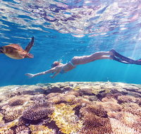 7-Day Exmouth Explorer via Pinnacles Monkey Mia Ningaloo Reef returning to Perth - Australia Accommodation