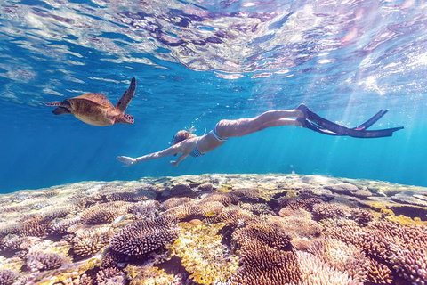 7-Day Exmouth Explorer Via Pinnacles Monkey Mia Ningaloo Reef Returning To Perth - Australia Accommodation 0