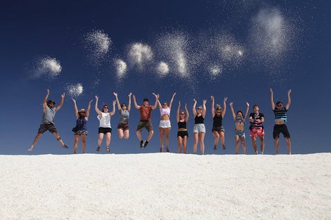 7-Day Exmouth Explorer Via Pinnacles Monkey Mia Ningaloo Reef Returning To Perth - Australia Accommodation 1