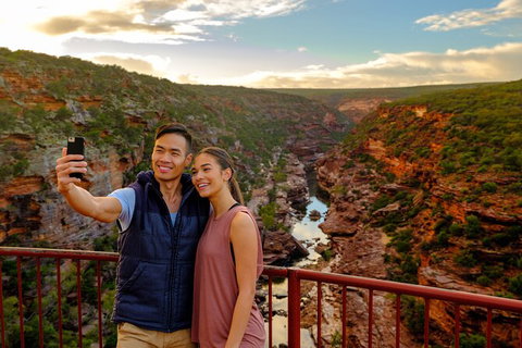 7-Day Exmouth Explorer Via Pinnacles Monkey Mia Ningaloo Reef Returning To Perth - Australia Accommodation 2