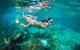 7-Day Exmouth Explorer Via Pinnacles Monkey Mia Ningaloo Reef Returning To Perth - thumb 13
