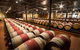Private Wine Tasting In Barrel Hall - thumb 3