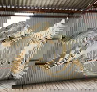 Albany's Whale Story - Australia Accommodation