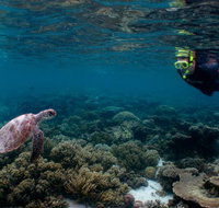 3 Night Ningaloo Reef Snorkel and Dive Getaway from Coral Bay - Australia Accommodation
