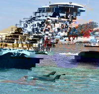 Mandurah Dolphin and Scenic Marine Cruise - Australia Accommodation