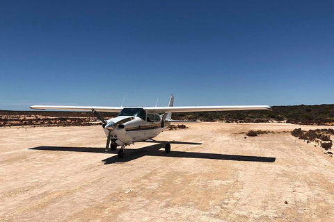 Kalbarri Gorges & West Coast - Ground & Air Tour - Australia Accommodation 6