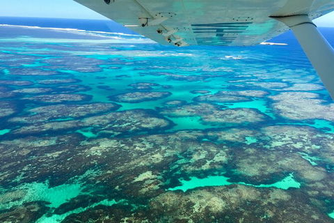 Kalbarri, Pink Lake And Abrolhos Islands Nature Tour - Australia Accommodation 5