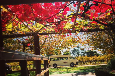 Ultimate Swan Valley Food And Wine Day Trip From Perth - Australia Accommodation 12