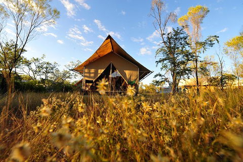 APT Kimberley Wilderness Adventures Purnululu (Bungle Bungle) 4WD Experience - Australia Accommodation 10