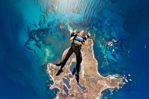 Rottnest Skydive + Hillarys Ferry Package - Australia Accommodation 6