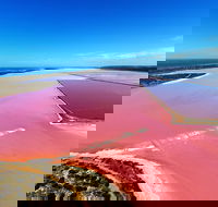 Pink Lake Aerial Flyover from Geraldton - Australia Accommodation