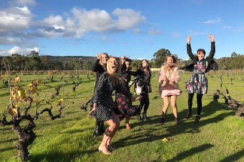 VW Kombi Food, Wine And More Tour (bring The Kids!) - Australia Accommodation 3