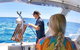 Rottnest Island 5-Course Deluxe Seafood Banquet Cruise - thumb 20